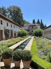 green plants near brown concrete building during daytime