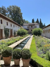 green plants near brown concrete building during daytime