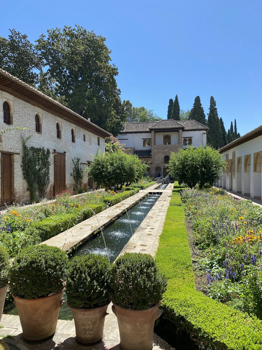 Plantas verdes cerca de edificios de hormigón marrón durante el día