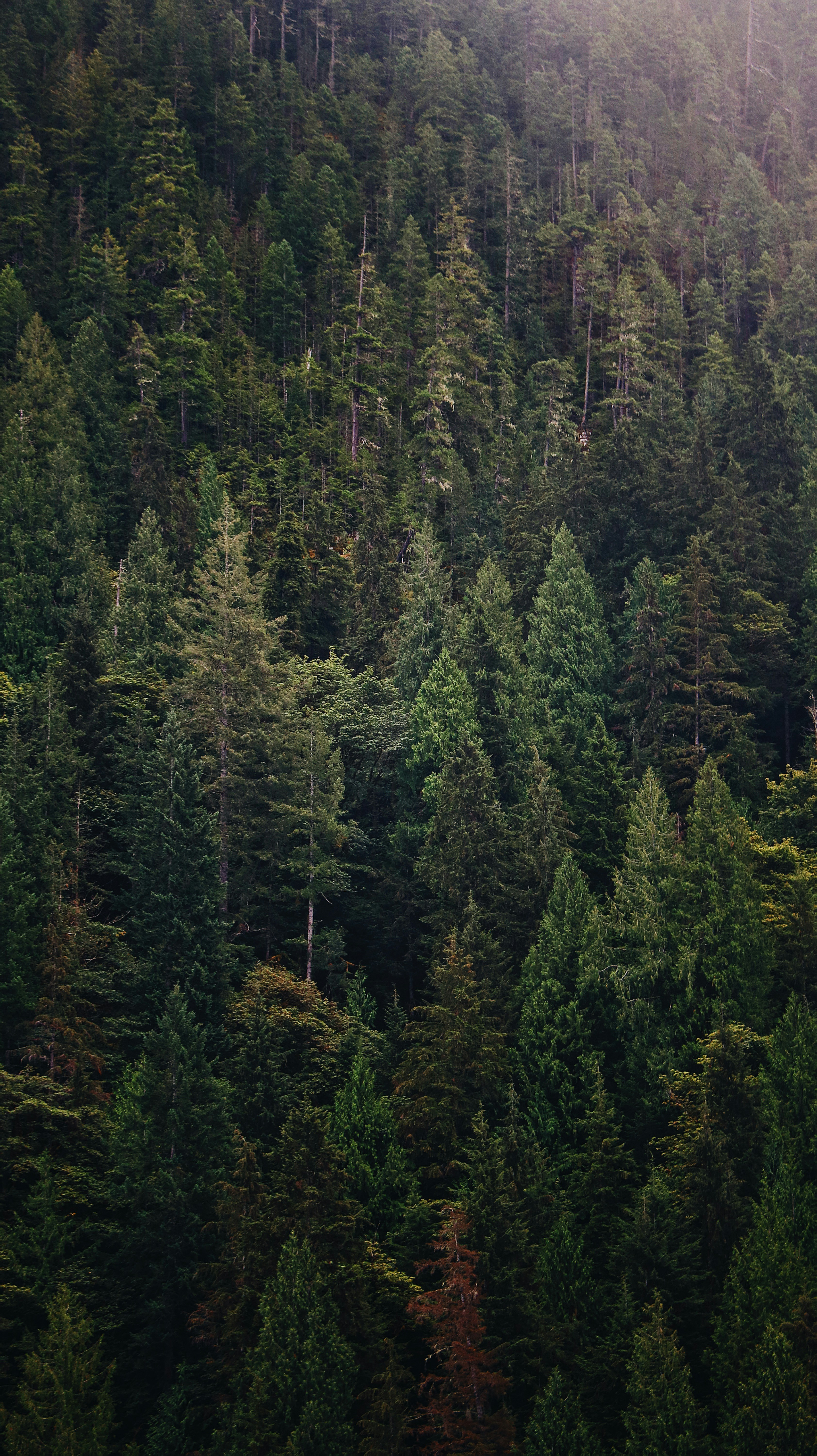 Photo by thompsonmediacompany