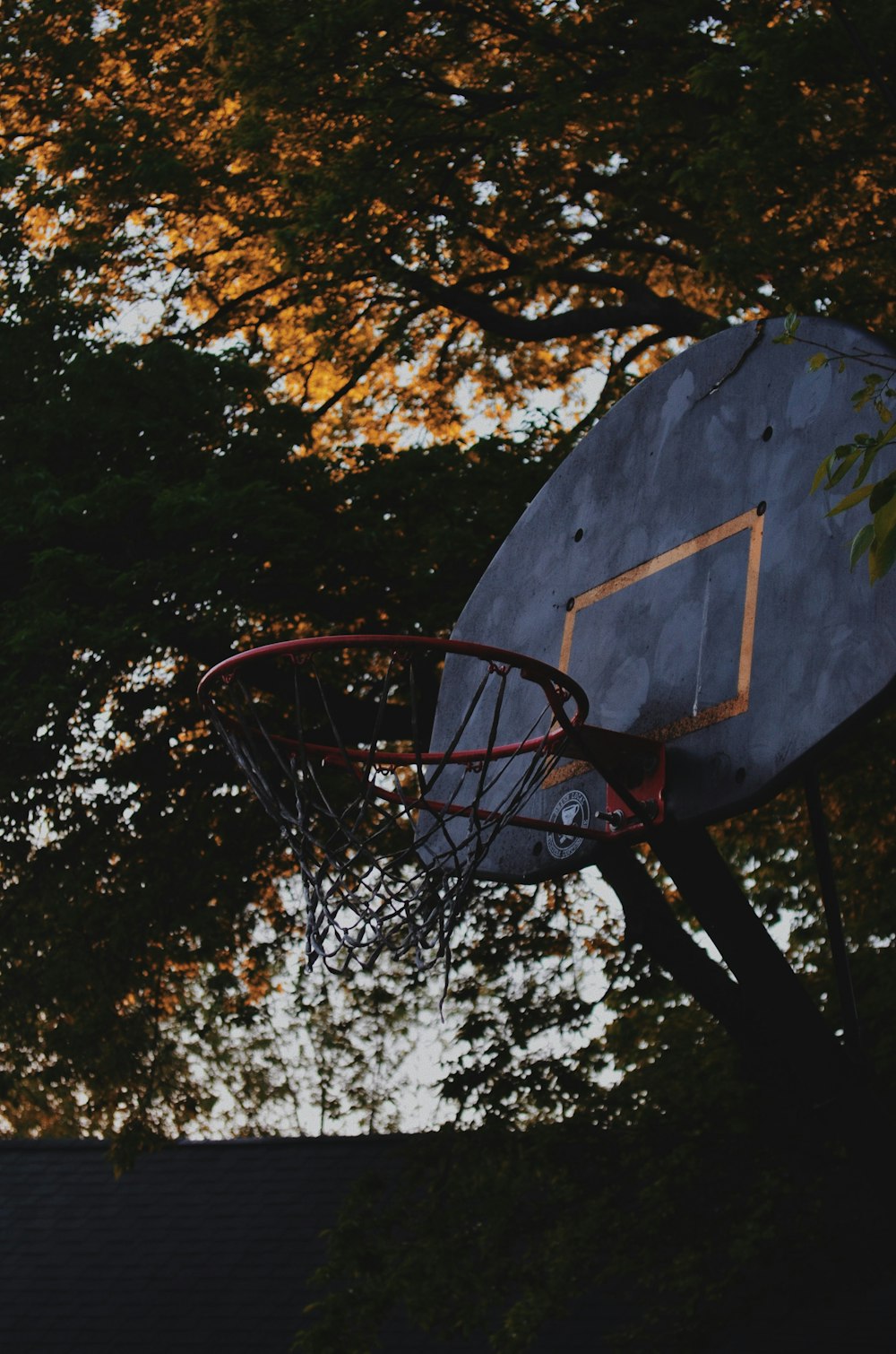 basketball hoop near trees during daytime