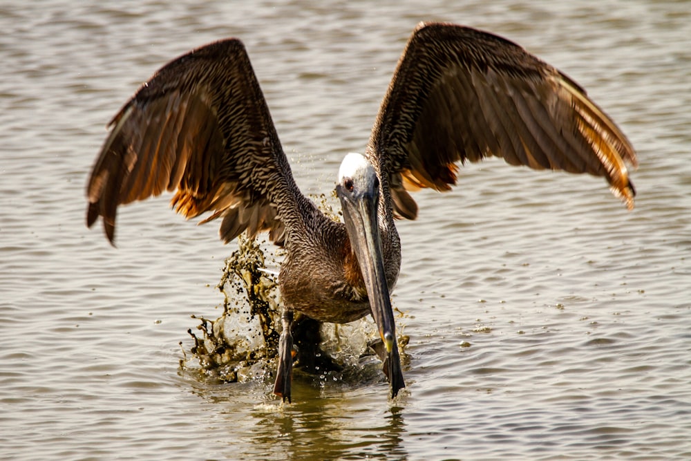 pelican on brown tree trunk near body of water during daytime