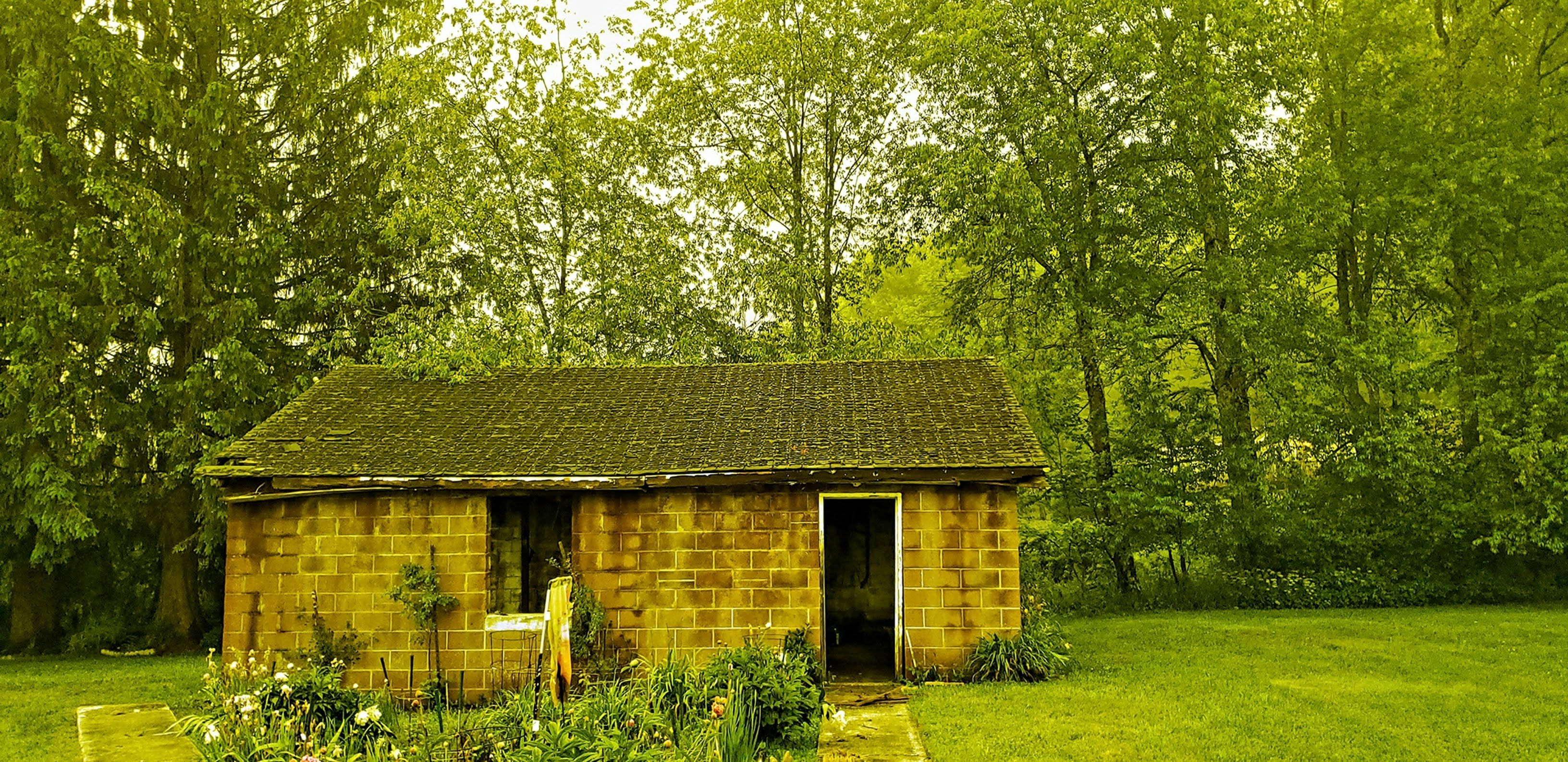 Photo by amick3555185