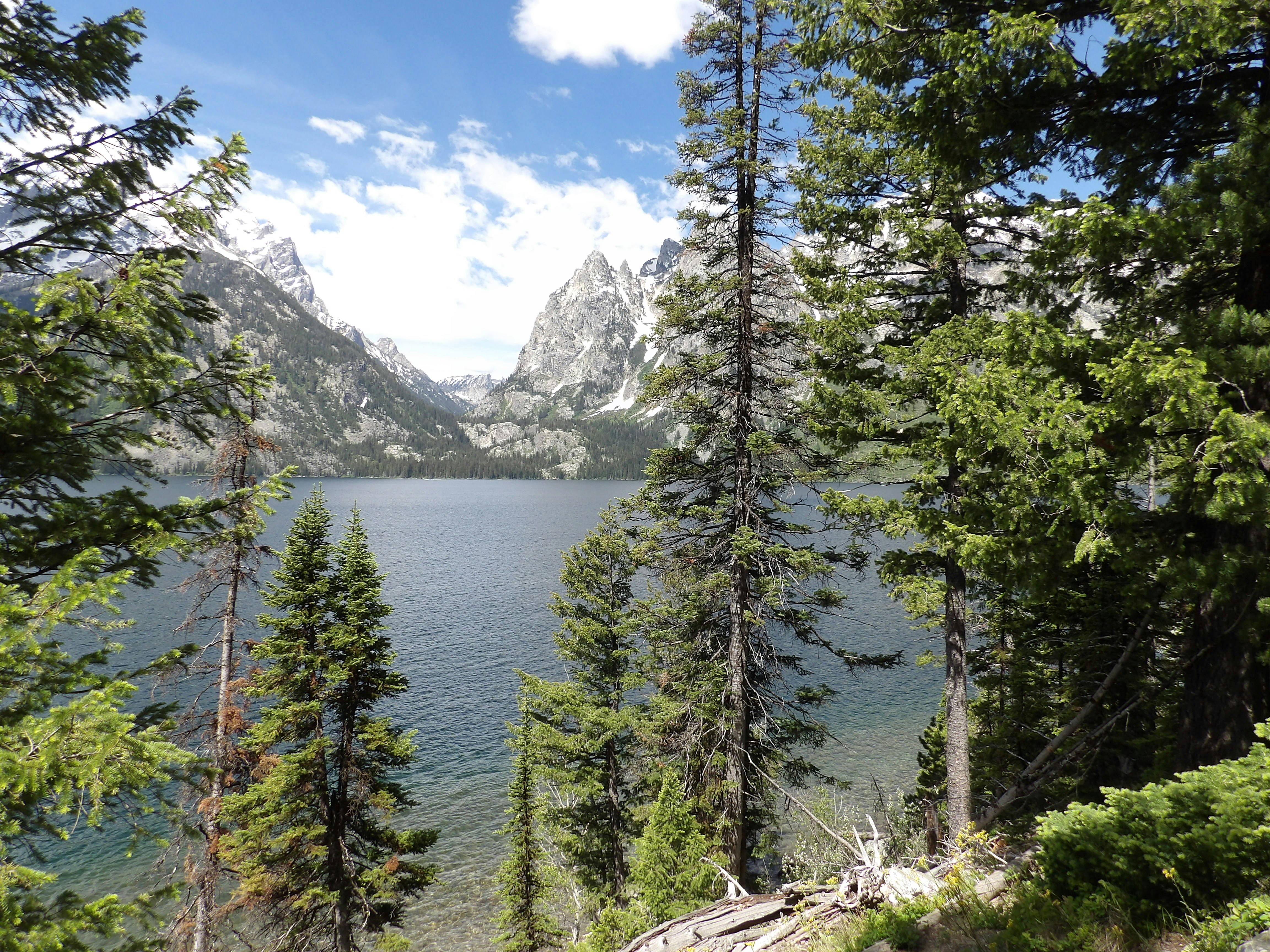 Photo by tvanarsdalejr