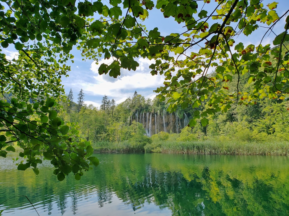 a body of water surrounded by trees and a waterfall