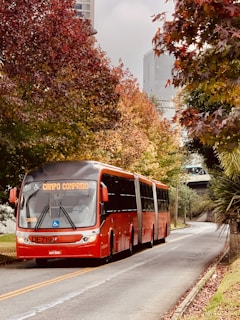 red double decker bus on road during daytime