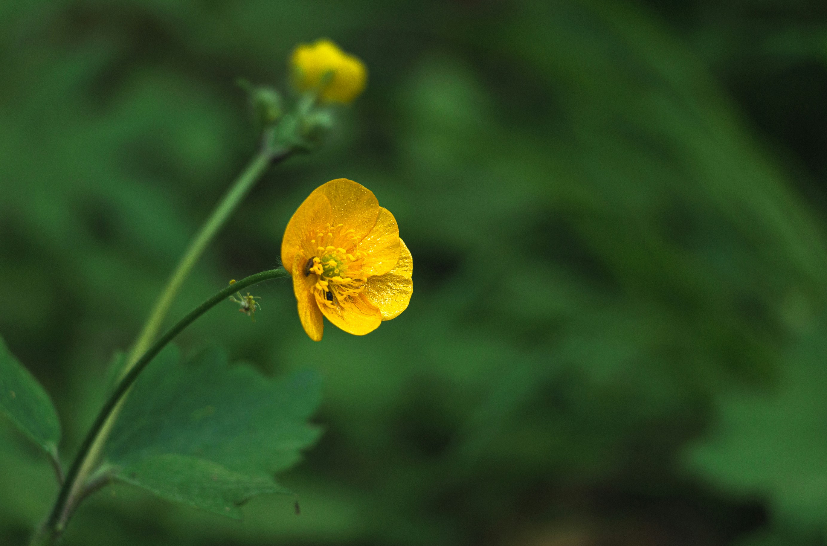 Photo by el_zakharova