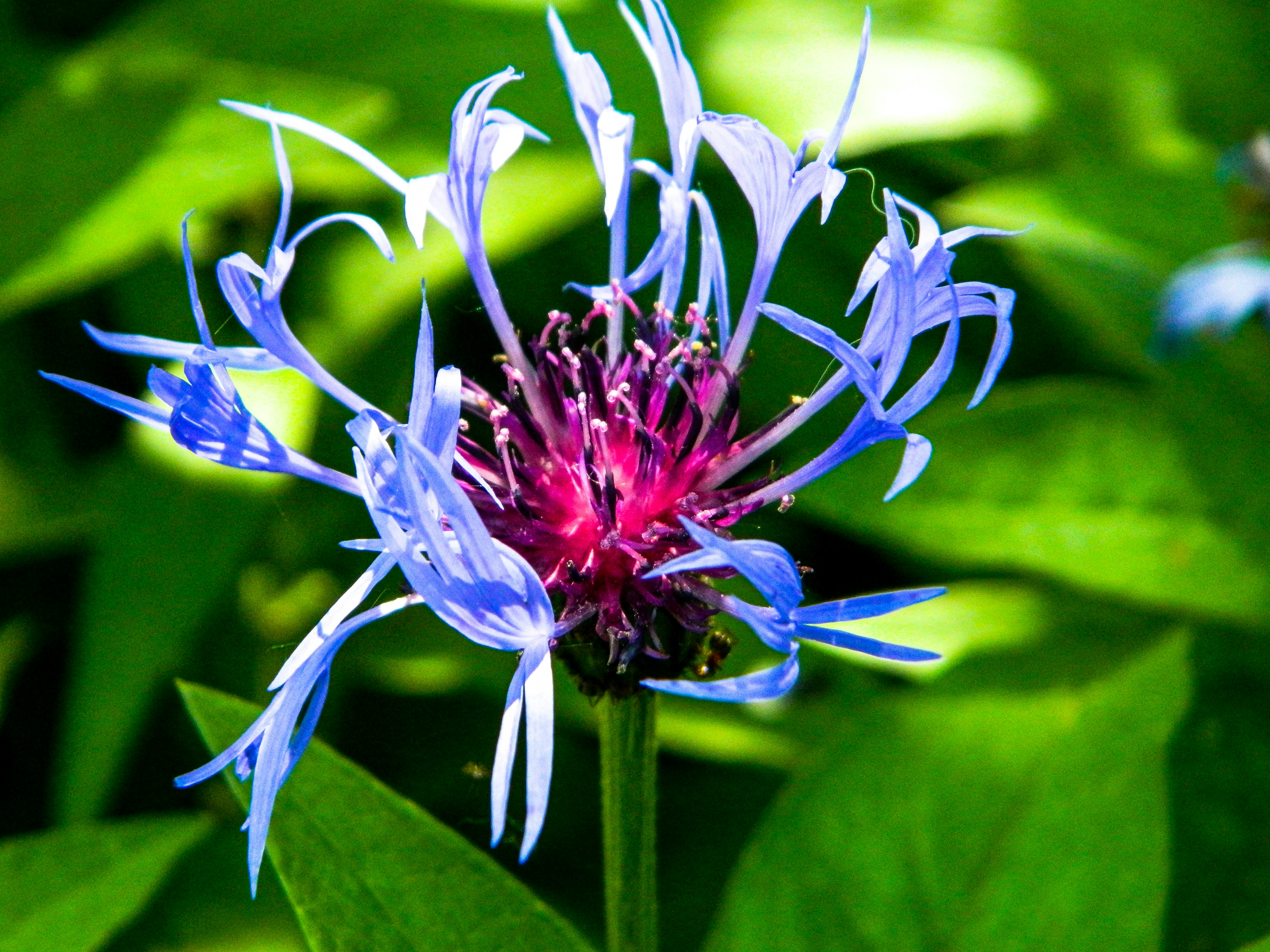 Photo by ellymurrrrr