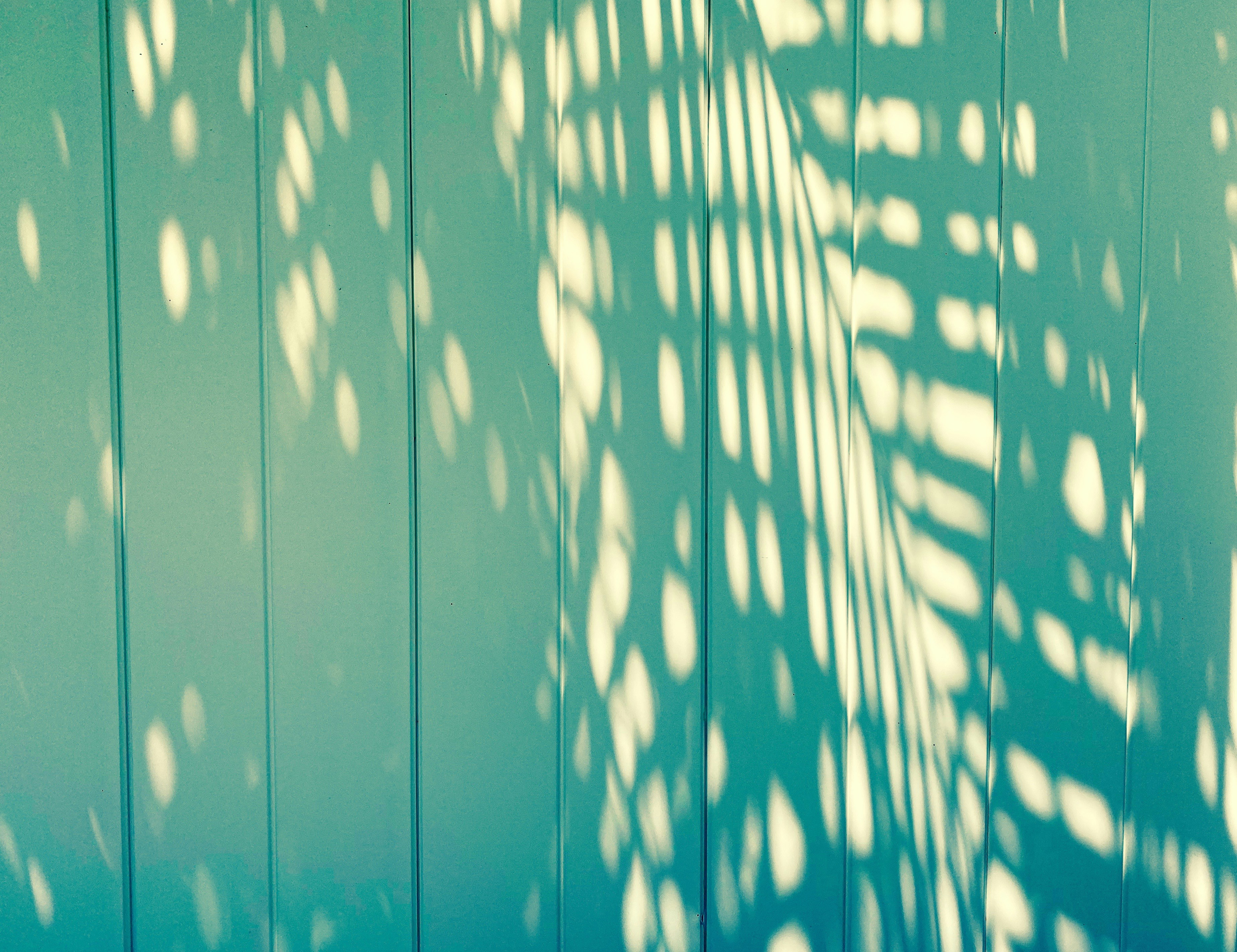 Photo by joepregadio