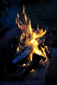 burning wood on fire pit