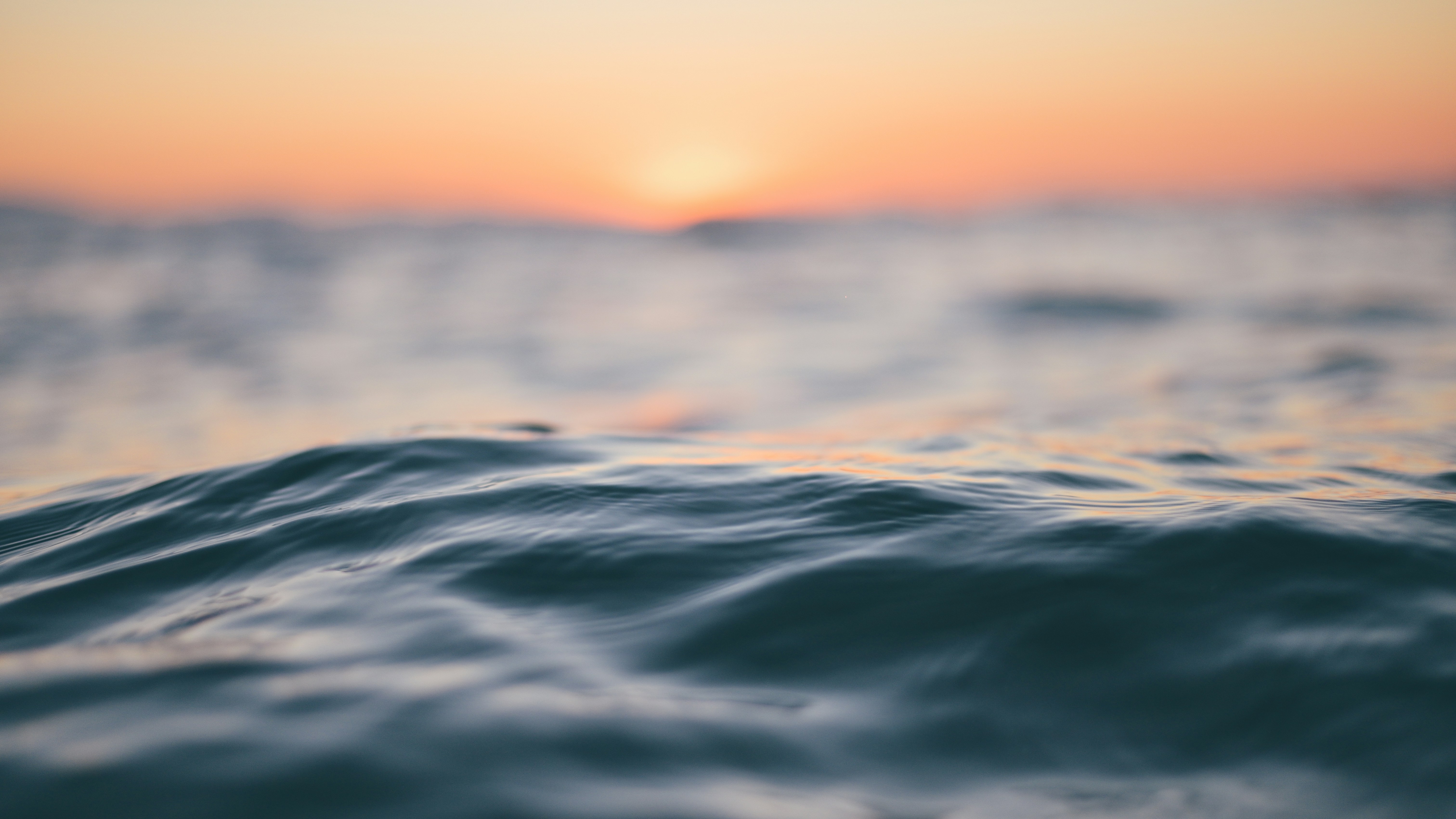 Photo by angelopantazis