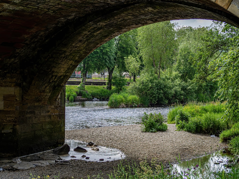 brown concrete bridge over river