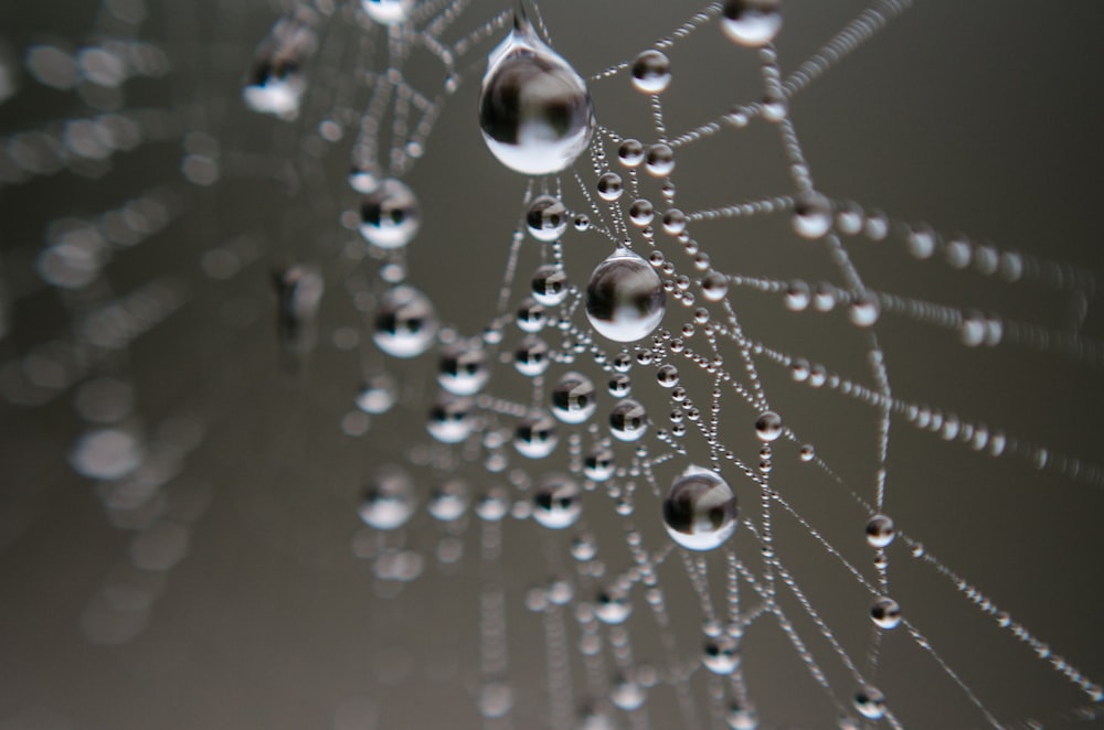 water droplets on clear glass