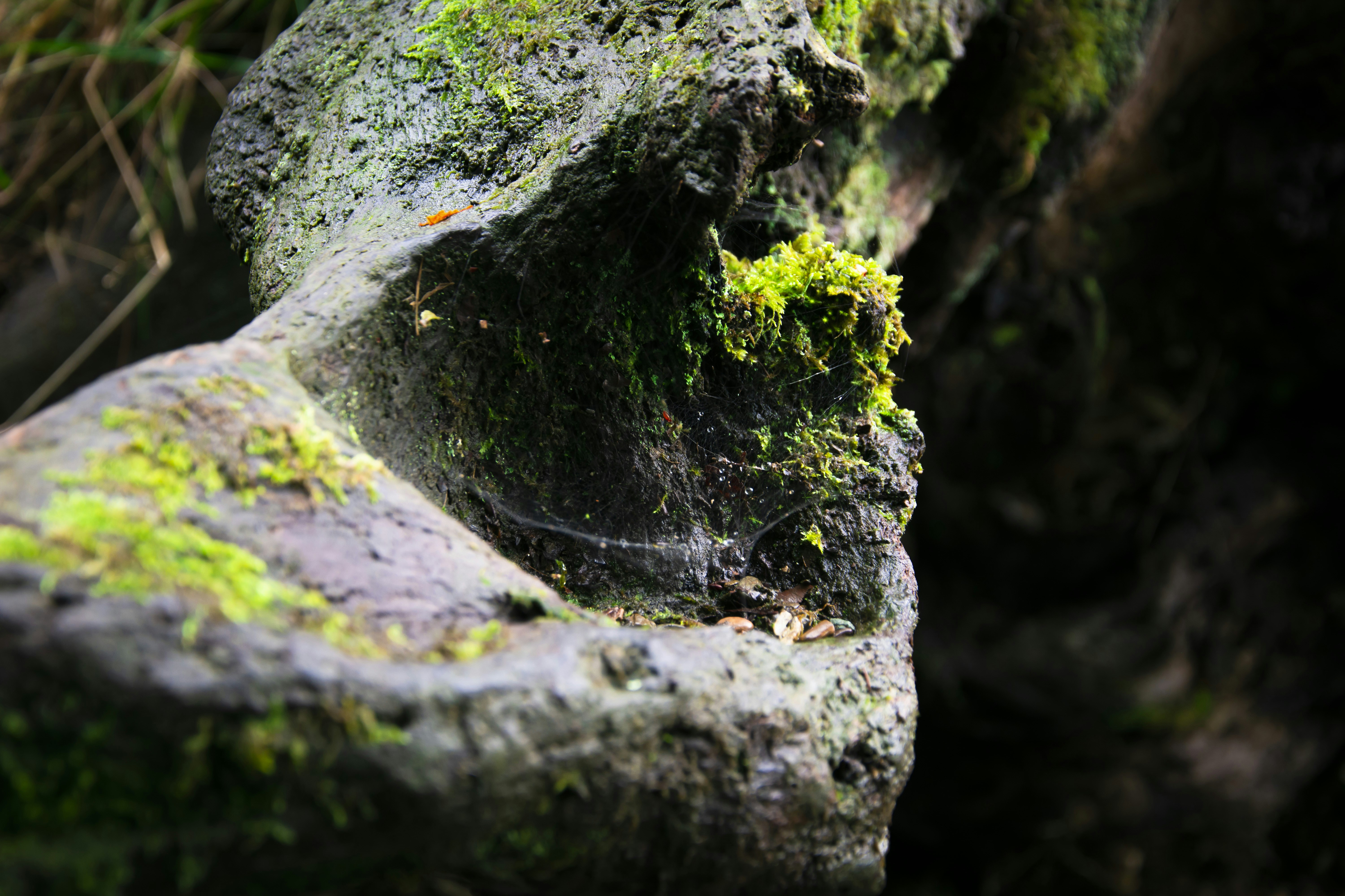 Photo by kevphotomcr