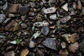 A variety of small to medium-sized stones and pebbles with diverse shapes and textures are scattered closely together. The stones have a range of earthy tones, some are smooth while others are rough and jagged, creating a natural, rugged texture.