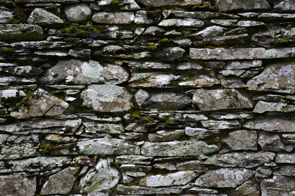 gray and black brick wall