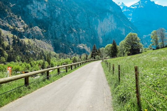 green trees near mountain during daytime in Lauterbrunnen Switzerland