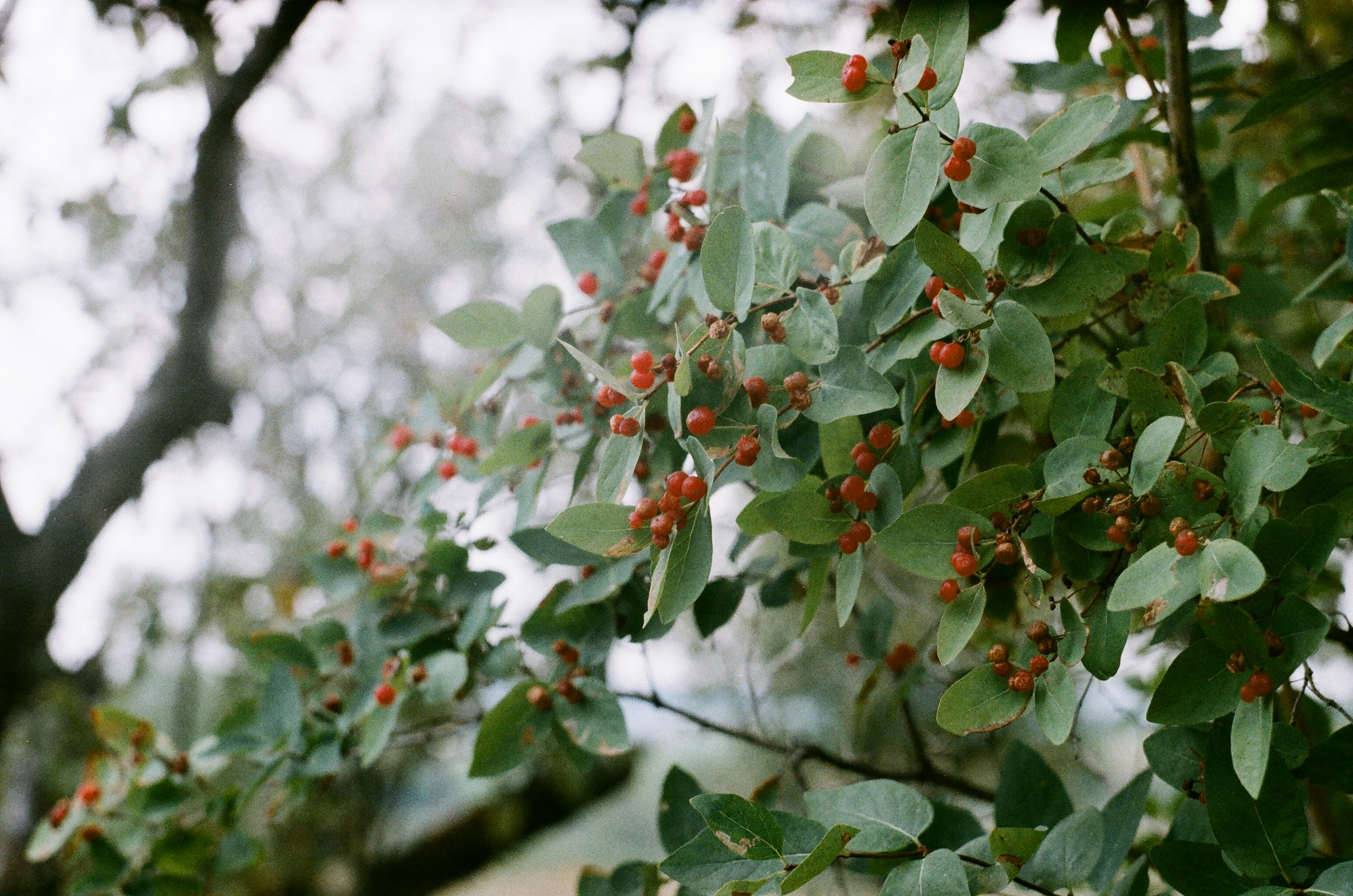 Photo by filedoesnotexist
