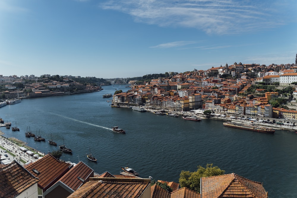 aerial view of city buildings near body of water during daytime