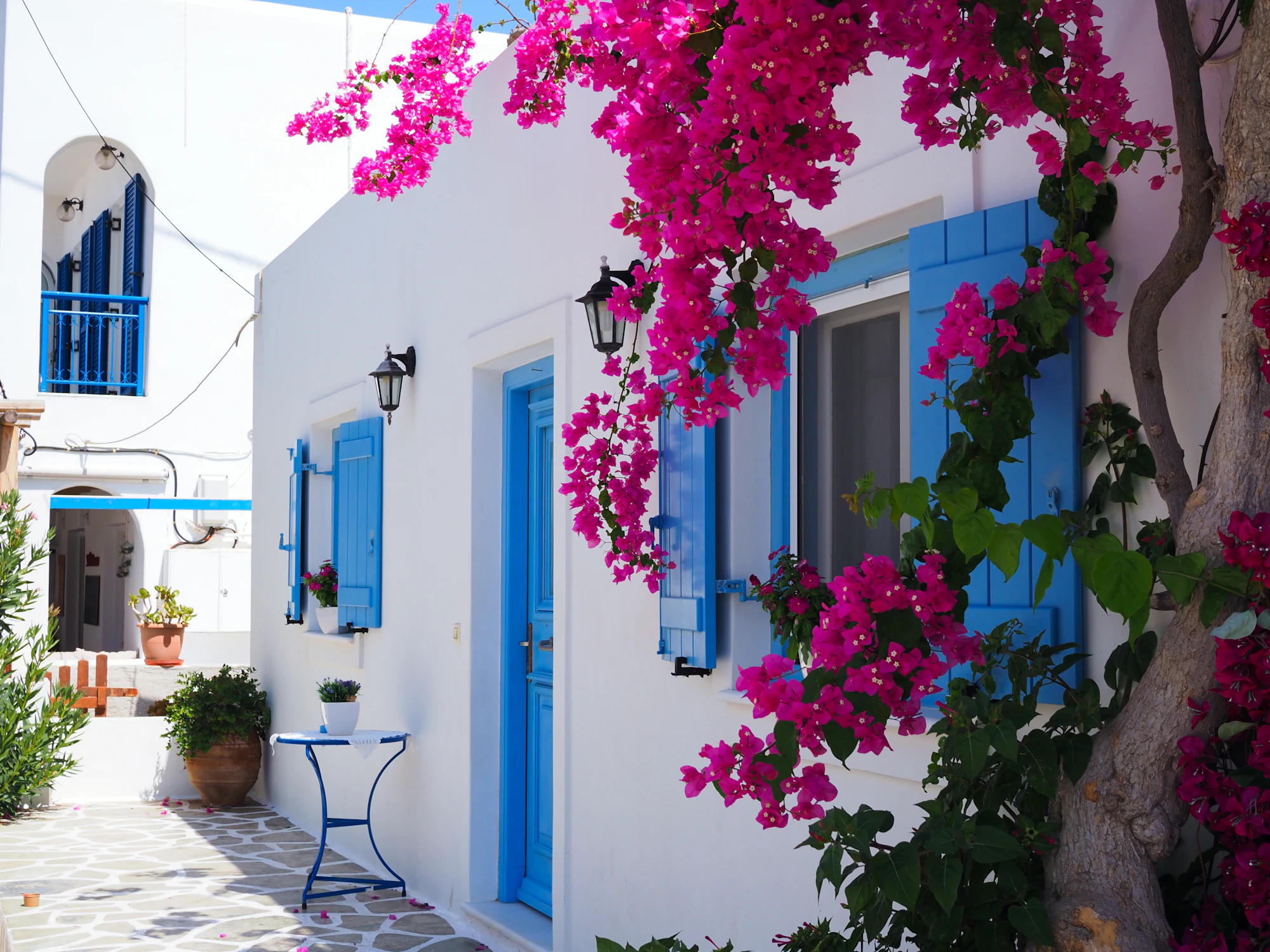 Traditional white-washed Greek house adorned with vibrant flowers in bloom, showcasing the charming architecture of Greece.