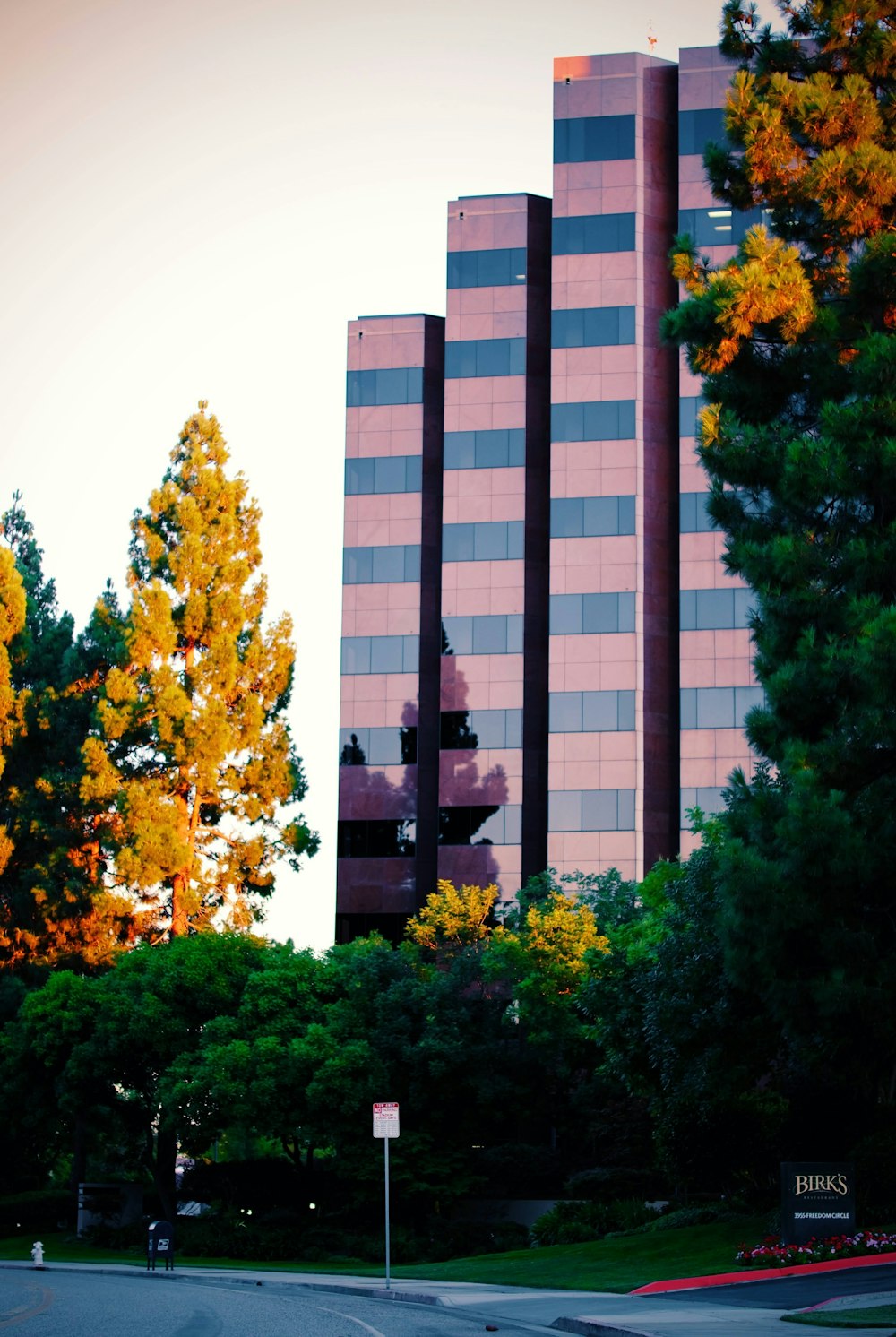 green trees near high rise building during daytime