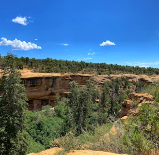 green trees on brown mountain under blue sky during daytime