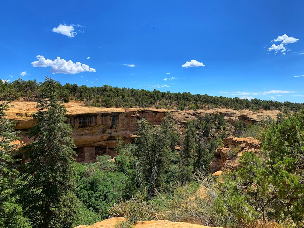 green trees on brown mountain under blue sky during daytime