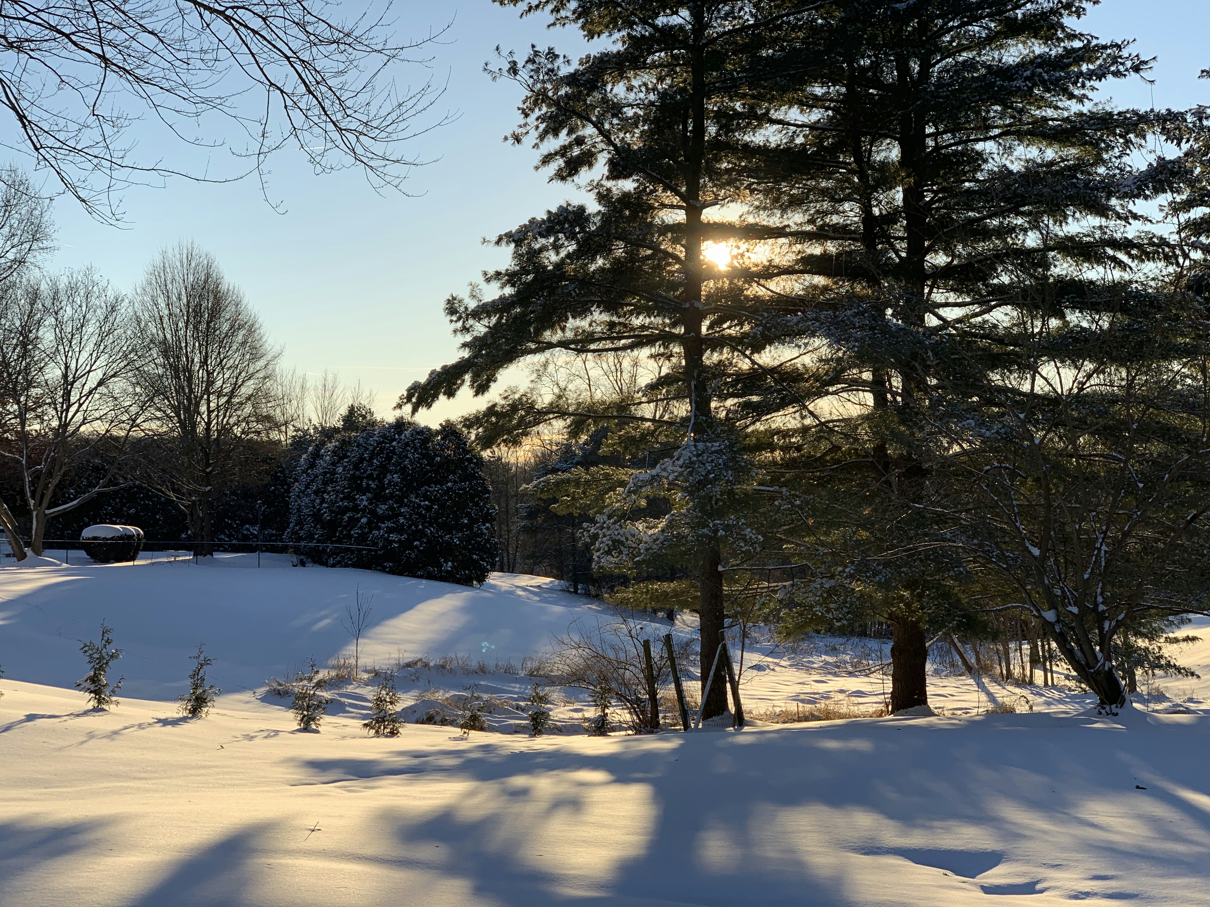 Photo by tgills19548