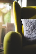 white throw pillow on green sofa