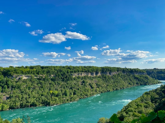 green trees near body of water under blue sky during daytime in Niagara Glen Nature Centre Canada