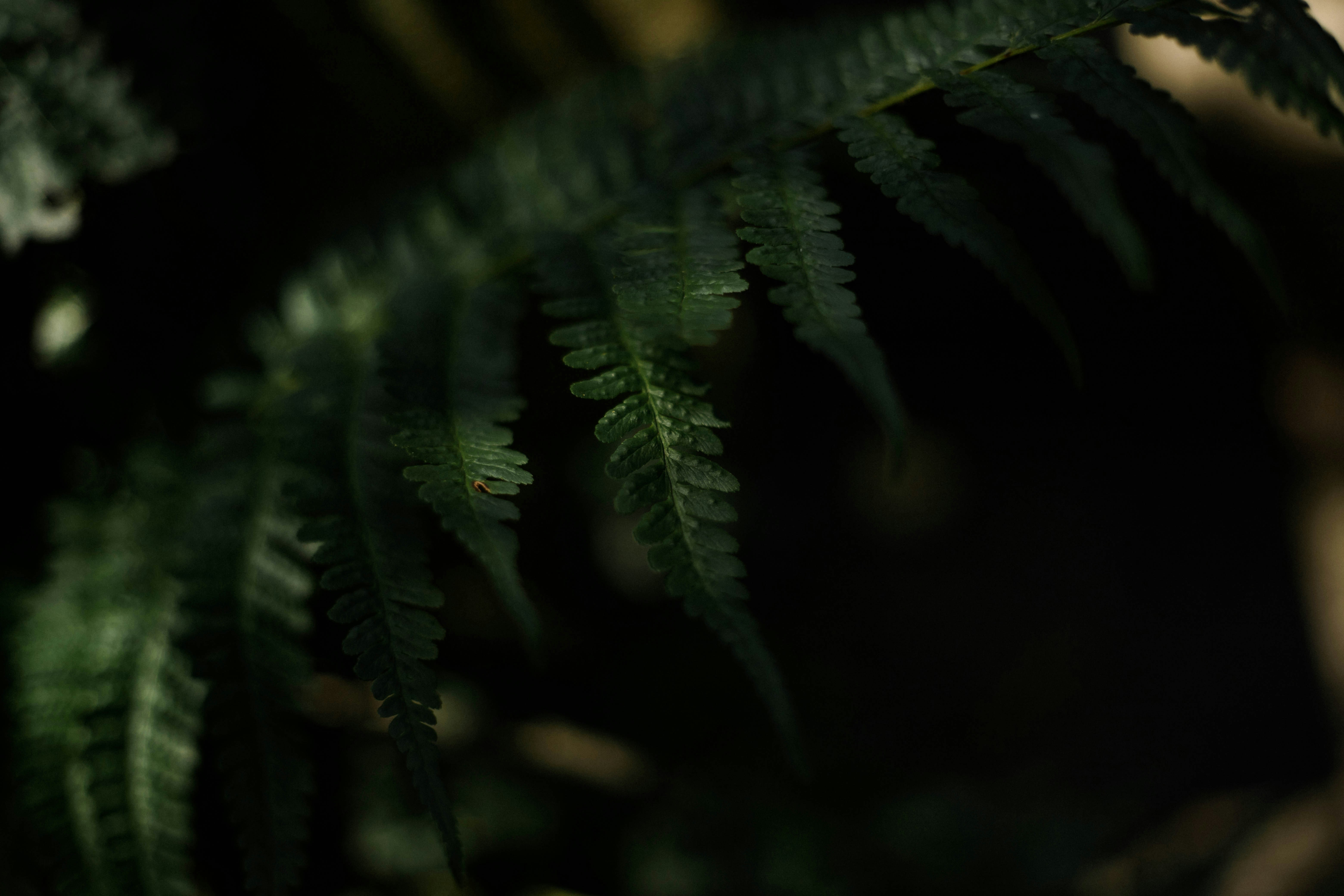 Photo by oddityandgrace