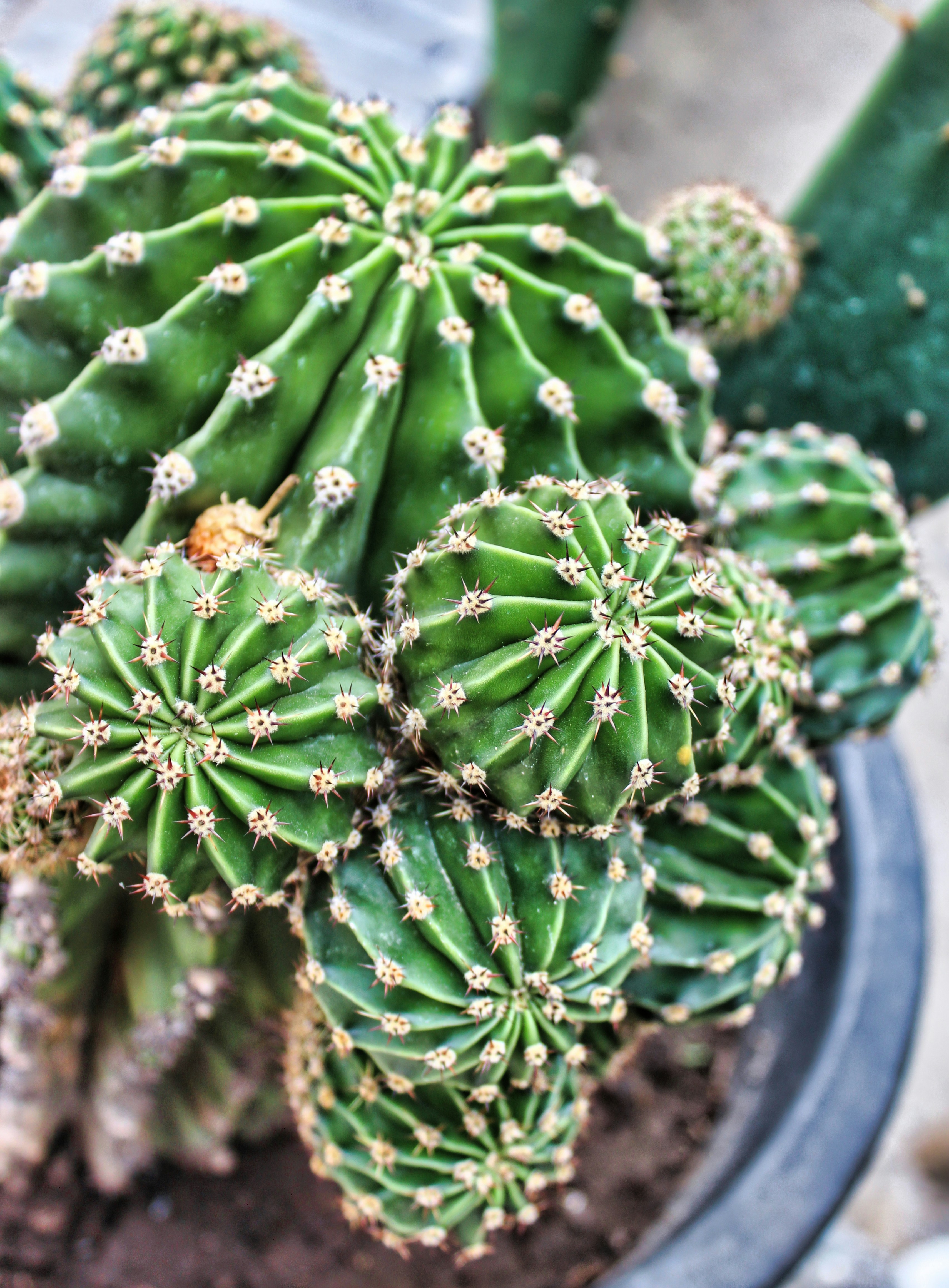 Photo by antovilardo