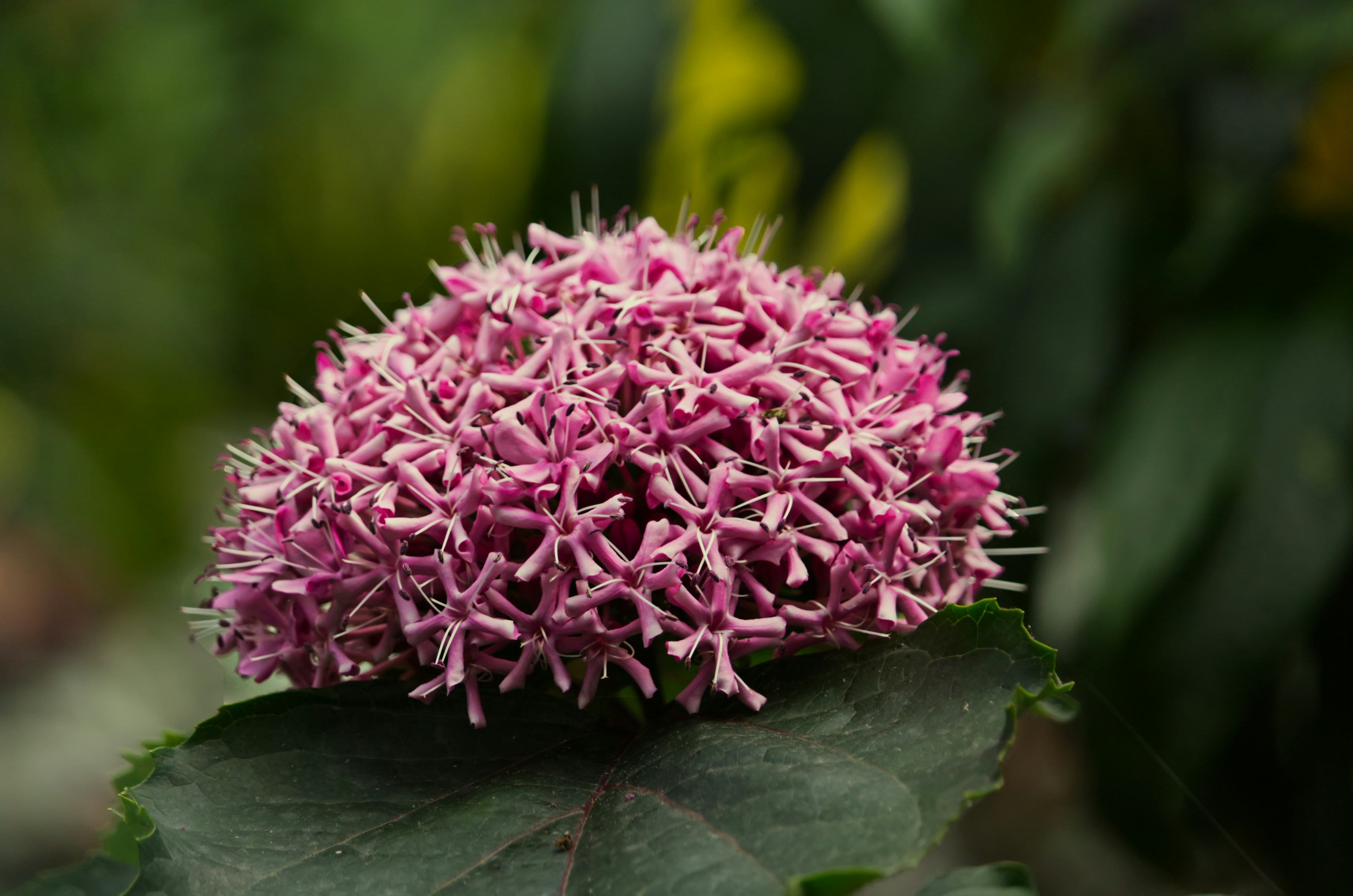 Photo by kendra_young