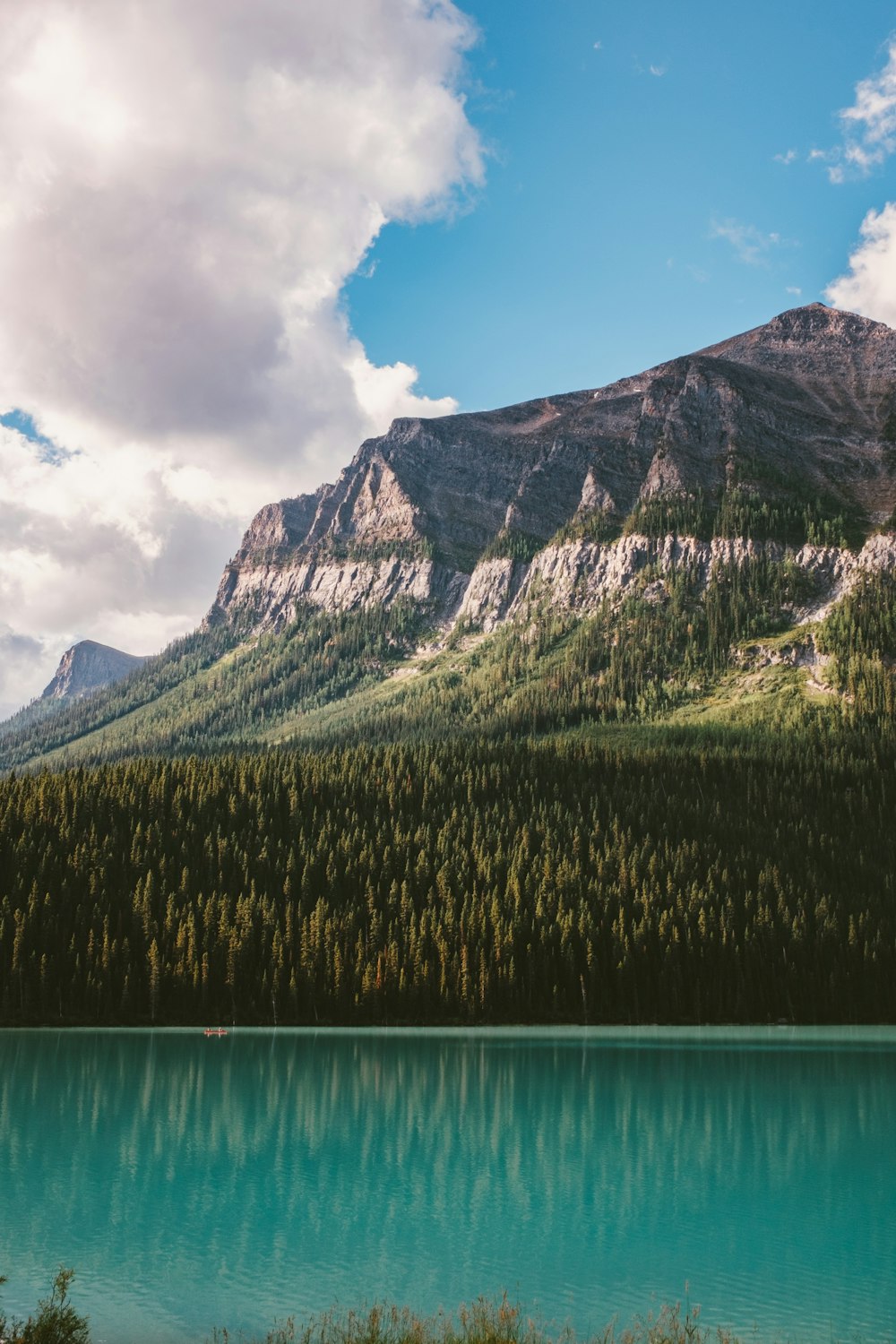 green trees near body of water and mountain under blue sky during daytime