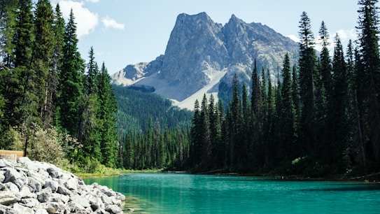 A serene landscape featuring a clear, turquoise river flowing through a lush forest. Tall evergreen trees line the banks of the river and a majestic mountain stands prominently in the background under a partly cloudy sky. Rocks are visible along the riverbank.