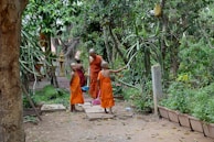 2 boys in orange robe walking on pathway during daytime