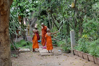 2 boys in orange robe walking on pathway during daytime