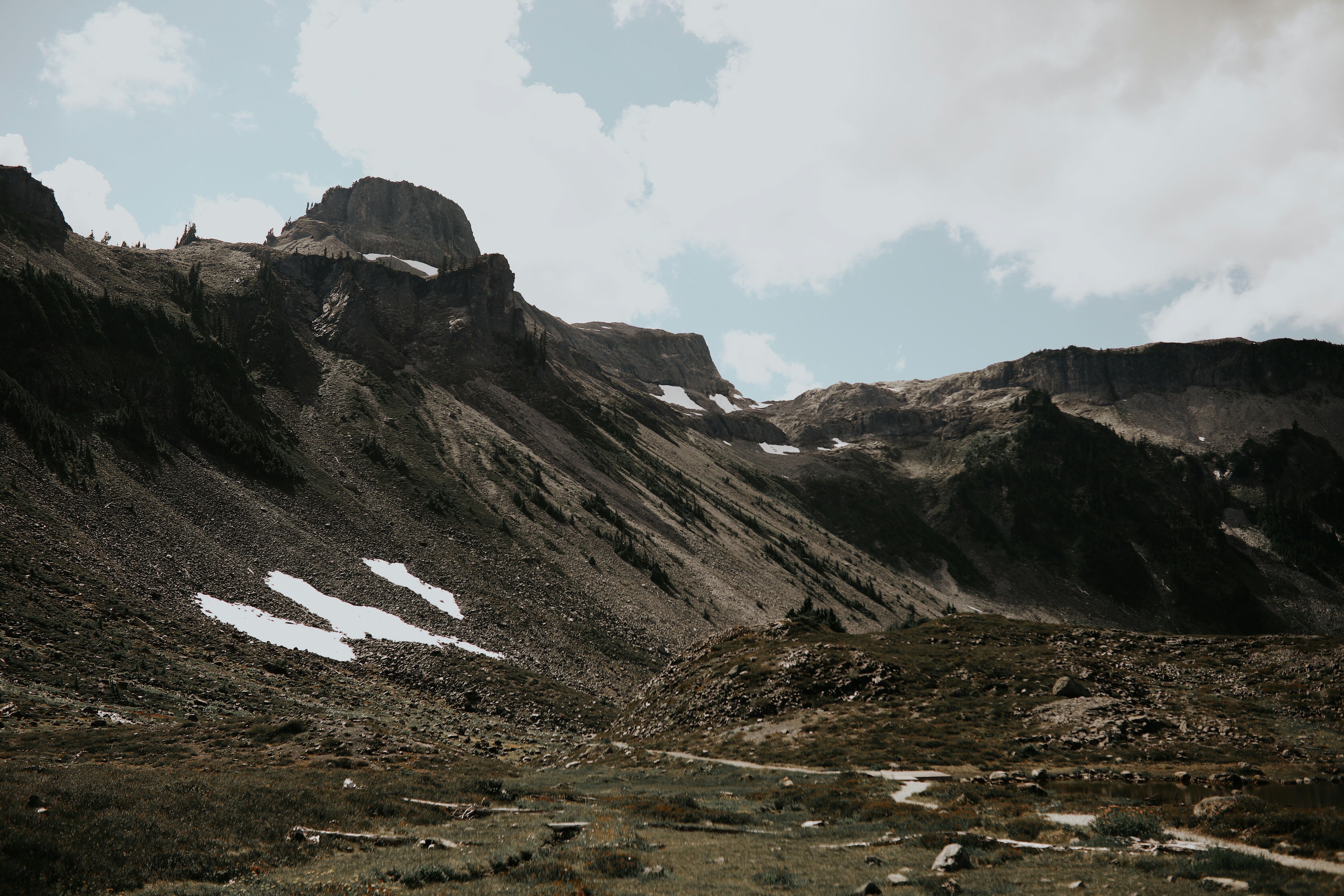 Photo by linaverovaya