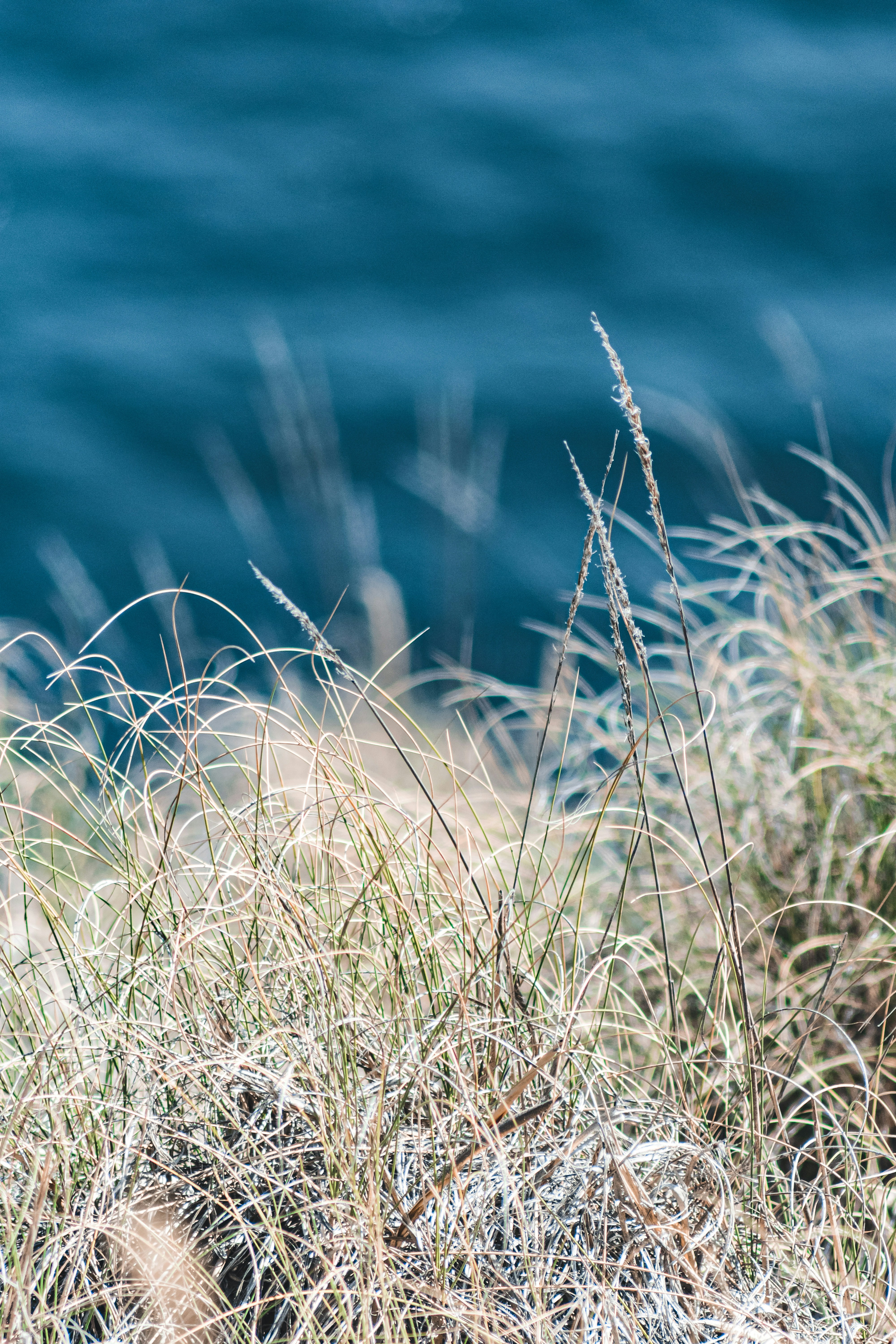 Photo by framesforyourheart