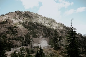 Rustic wooden facade of a home blending naturally with the mountainous landscape.