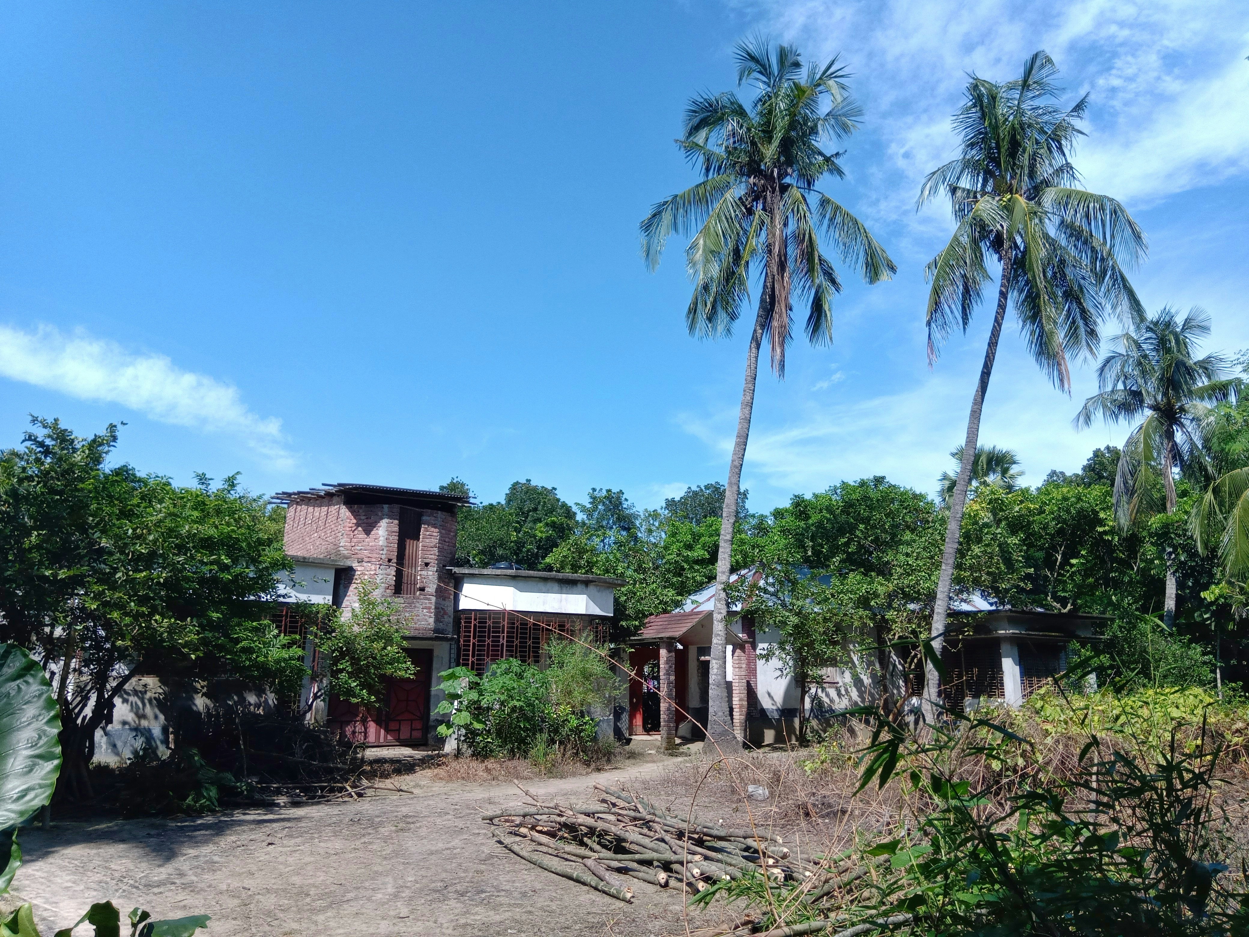 Photo by monirhasnan