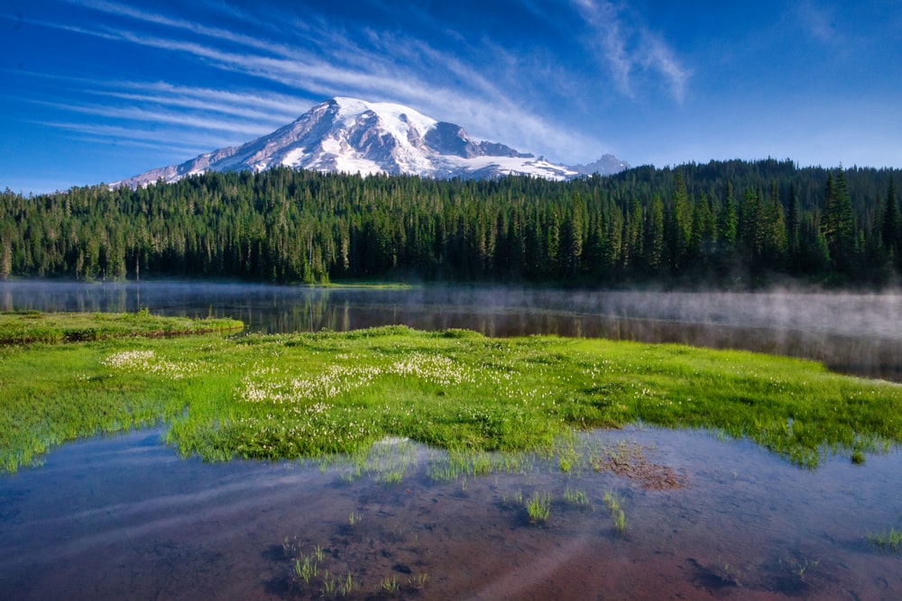 green trees near snow covered mountain during daytime