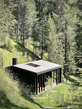 brown wooden house in the middle of forest during daytime