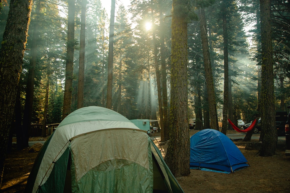 green and gray tent in forest during daytime