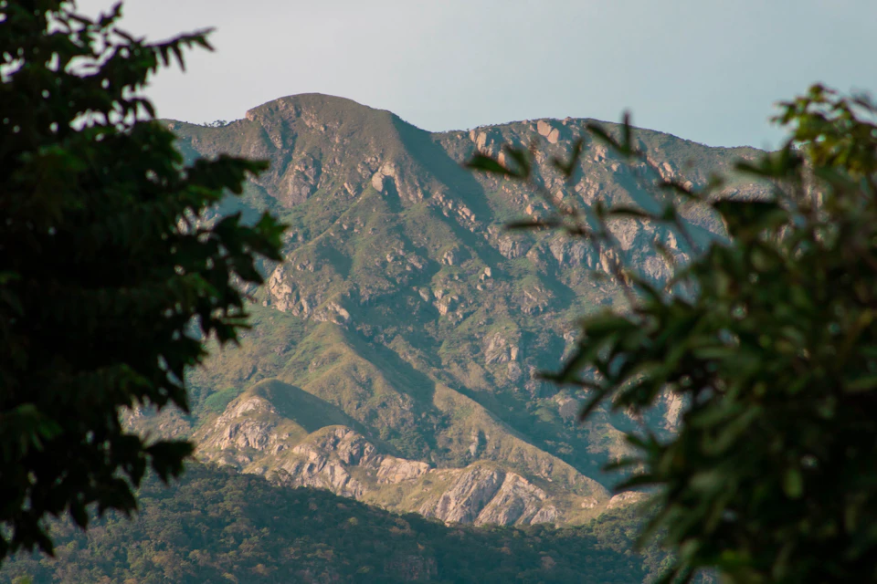 The image depicts a majestic mountain range with green and brown hues, set against a clear blue sky. The mountains are covered in lush vegetation, creating a vibrant contrast between the natural landscape and the sky. In the foreground, there is a dense forest of trees that partially obscures the view of the mountains. The perspective of the image suggests it was taken from a distance, allowing for an expansive view of the mountain range and its surroundings.