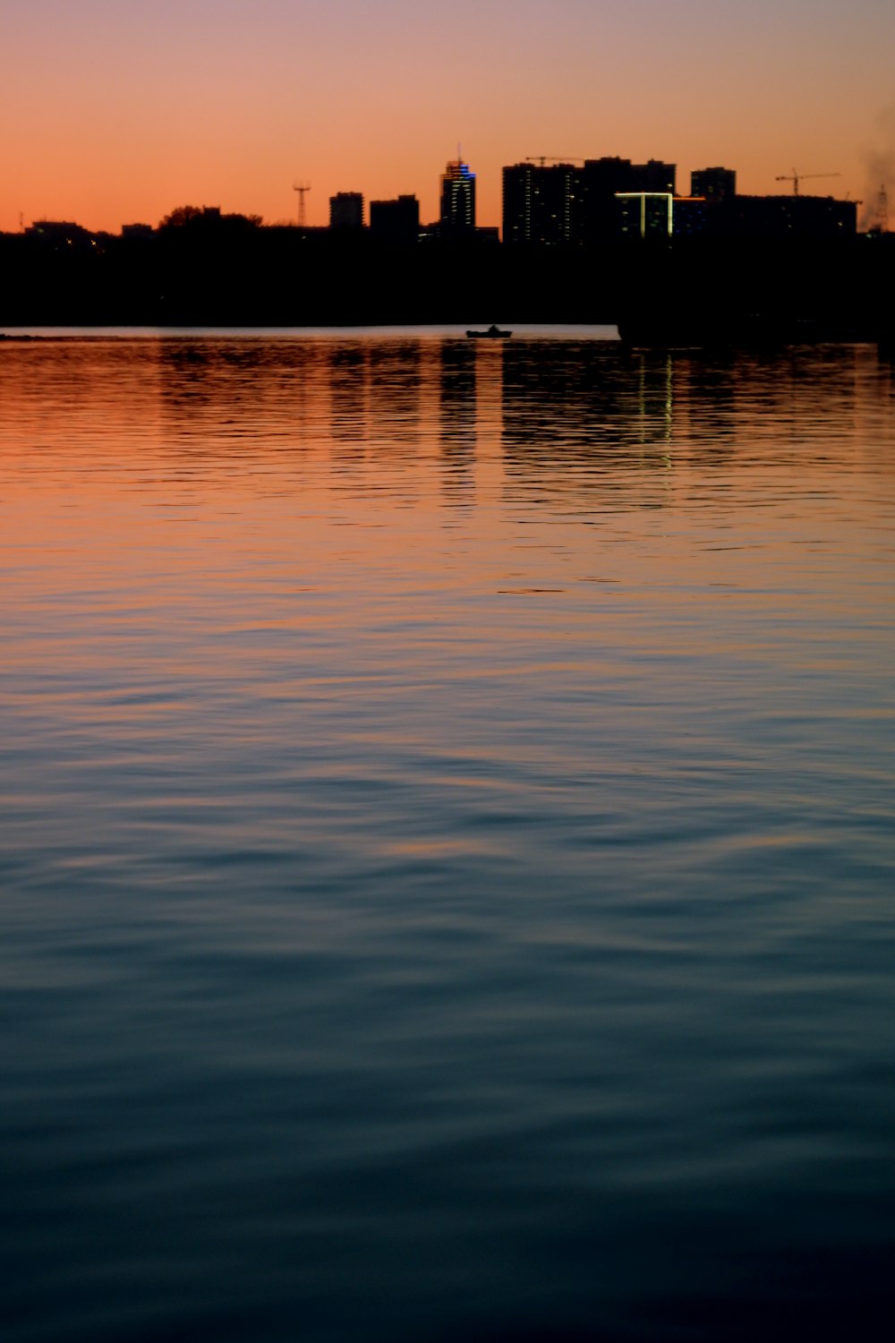 silhouette of trees near body of water during sunset