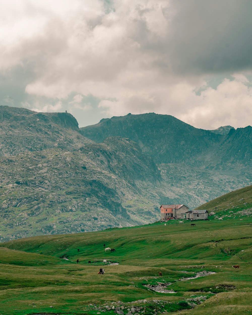 brown house on green grass field near mountain under white clouds during daytime