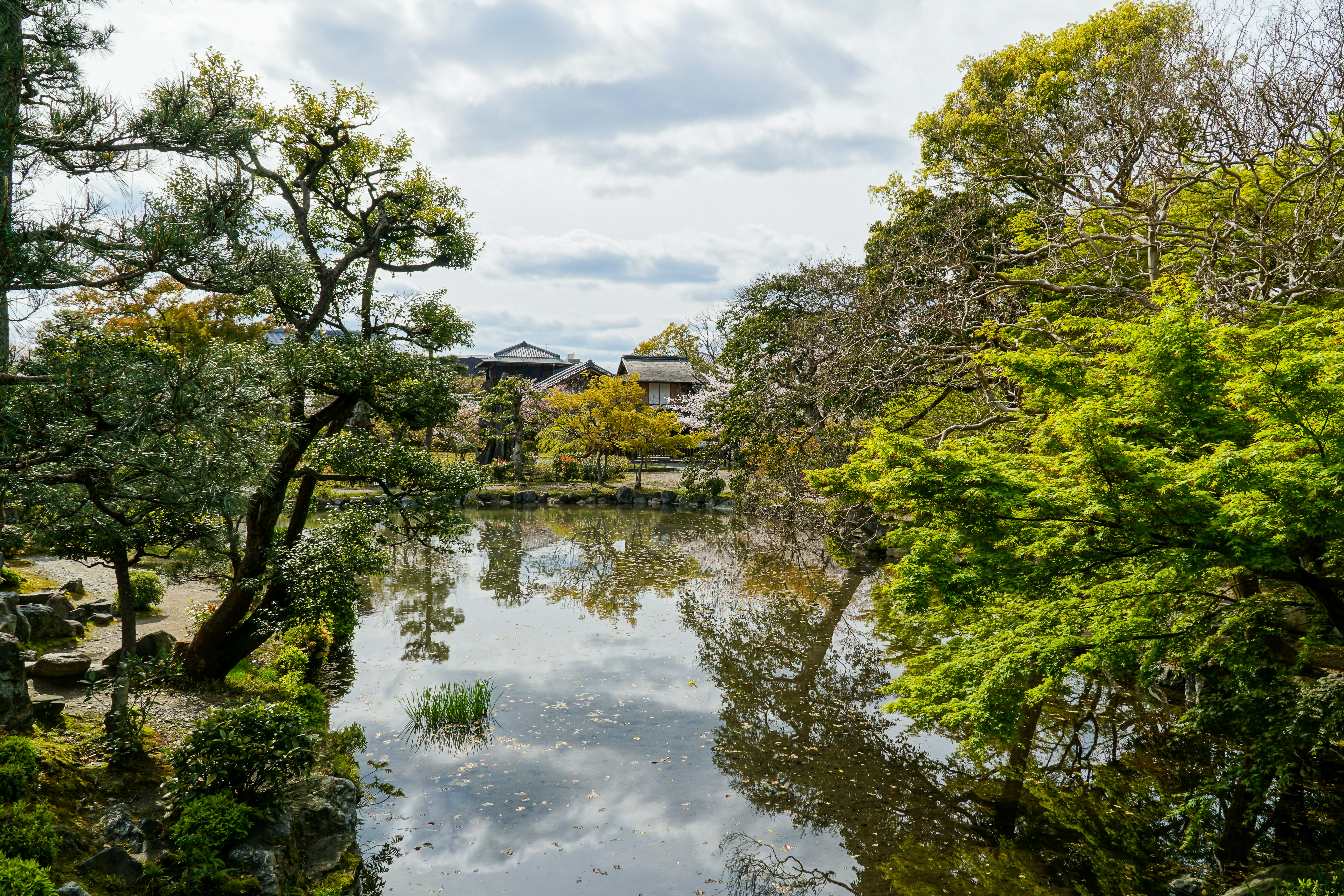 Photo by pendraggon87