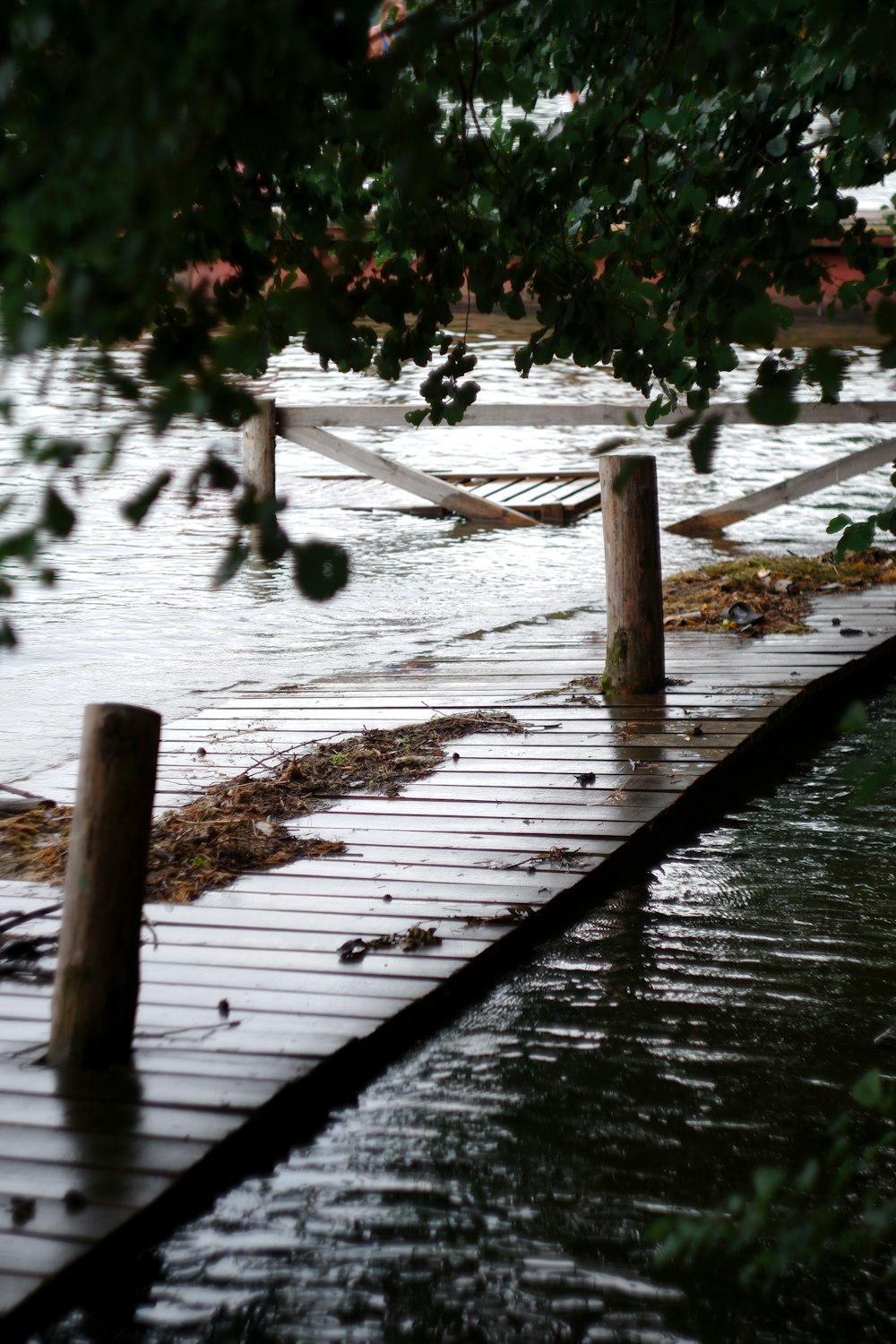 brown wooden dock on river during daytime