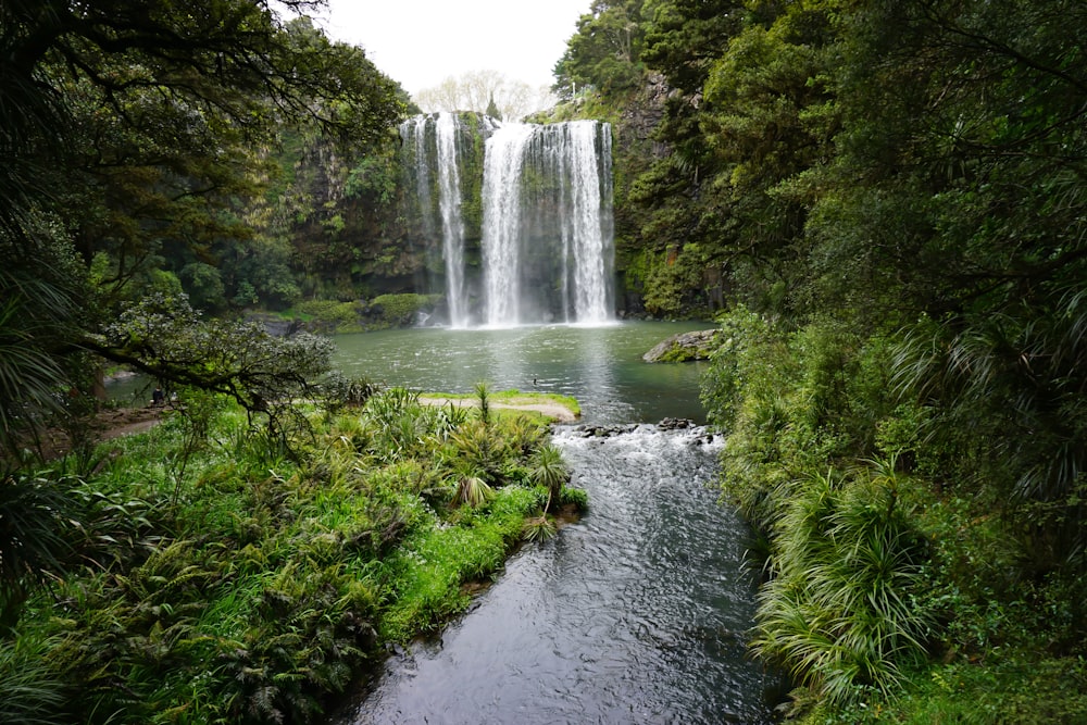 waterfalls in the middle of the forest